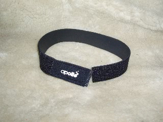 「ネックバンド」のサムネイル画像