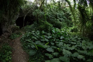「無題」のサムネイル画像
