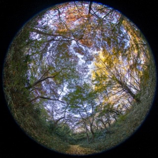 「無題」のサムネイル画像