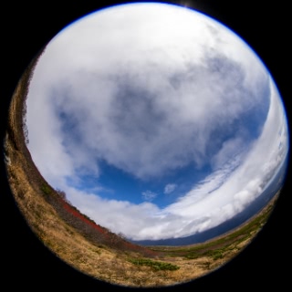 「無題」のサムネイル画像