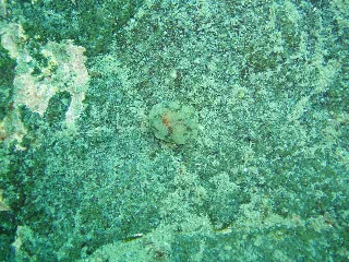 「無題」のサムネイル画像