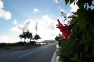 「無題」のサムネイル画像