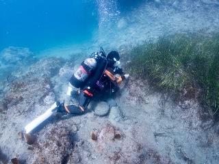「無題」のサムネイル画像