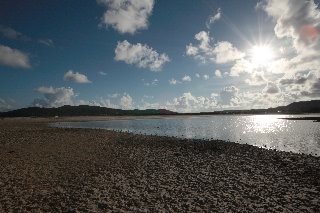 「無題」のサムネイル画像