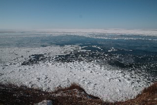 「無題」のサムネイル画像