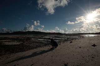 「無題」のサムネイル画像