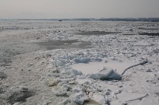「無題」のサムネイル画像