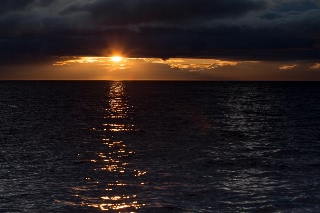 「無題」のサムネイル画像