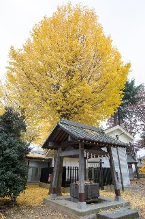 「無題」のサムネイル画像