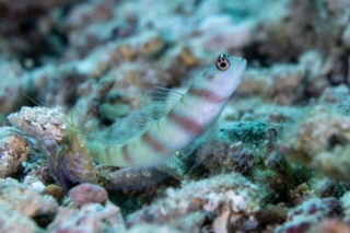 「無題」のサムネイル画像