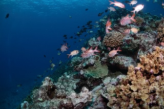 「無題」のサムネイル画像