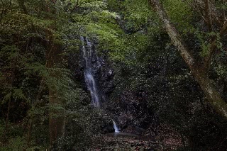 「玉簾の滝」のサムネイル画像