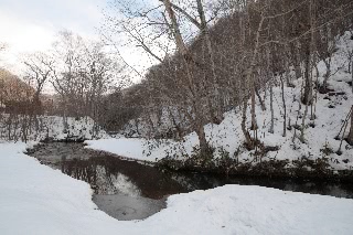 「無題」のサムネイル画像