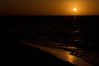 「無題」のサムネイル画像