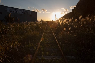 「無題」のサムネイル画像