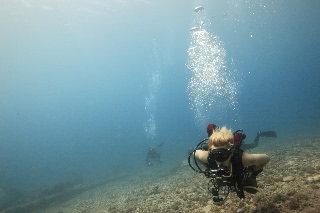 「元気いっぱい」のサムネイル画像