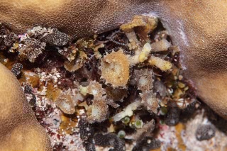 「無題」のサムネイル画像