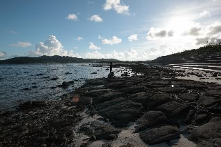 「無題」のサムネイル画像