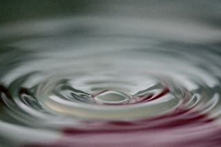 「無題」のサムネイル画像