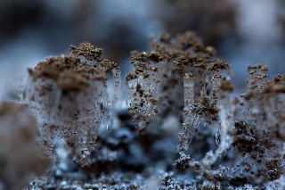 「無題」のサムネイル画像