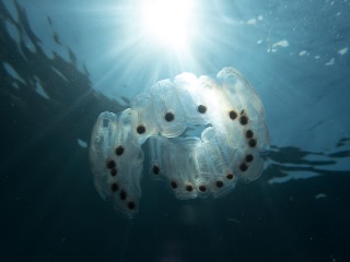 「無題」のサムネイル画像