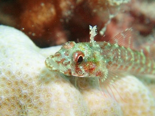 「無題」のサムネイル画像