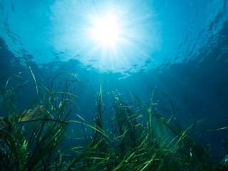 「無題」のサムネイル画像
