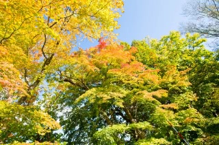 「無題」のサムネイル画像