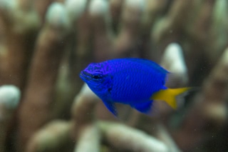 「無題」のサムネイル画像