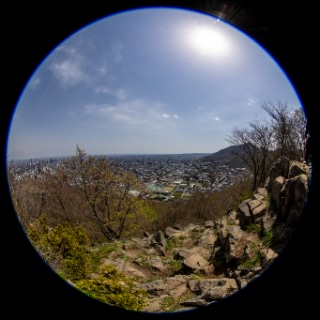 「無題」のサムネイル画像