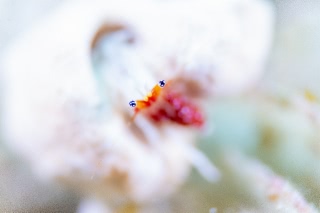 「無題」のサムネイル画像