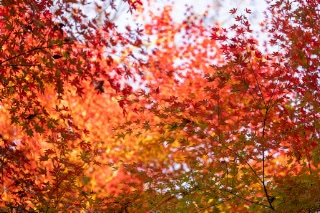 「無題」のサムネイル画像