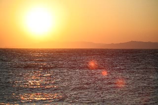 「無題」のサムネイル画像