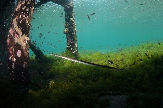 「無題」のサムネイル画像