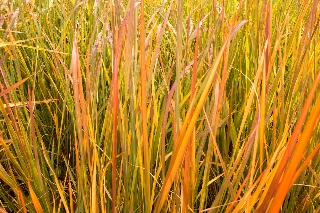 「無題」のサムネイル画像