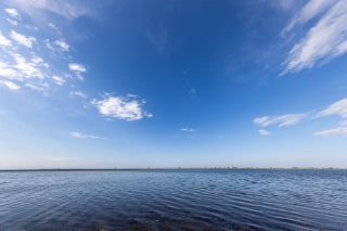 「無題」のサムネイル画像