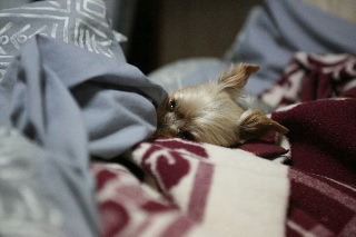 「寒いの」のサムネイル画像