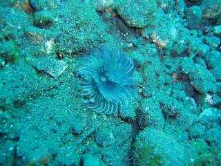 「無題」のサムネイル画像