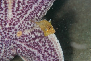 「無題」のサムネイル画像