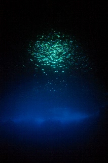 「無題」のサムネイル画像