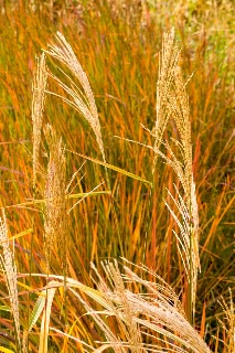 「無題」のサムネイル画像