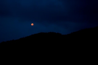 「無題」のサムネイル画像