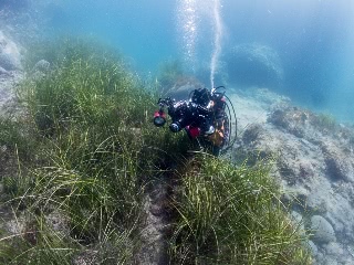 「無題」のサムネイル画像