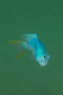 「無題」のサムネイル画像