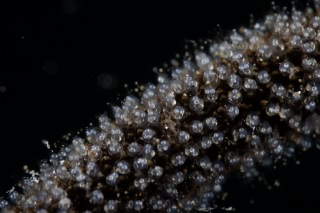 「無題」のサムネイル画像