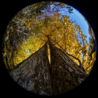 「無題」のサムネイル画像