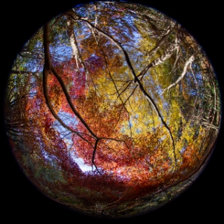 「無題」のサムネイル画像