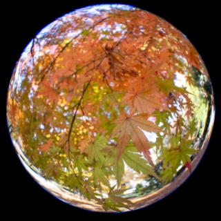 「無題」のサムネイル画像