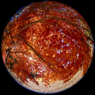 「無題」のサムネイル画像