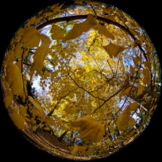 「無題」のサムネイル画像